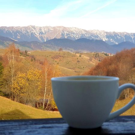 La Kaifas Villa Fundata Bagian luar foto