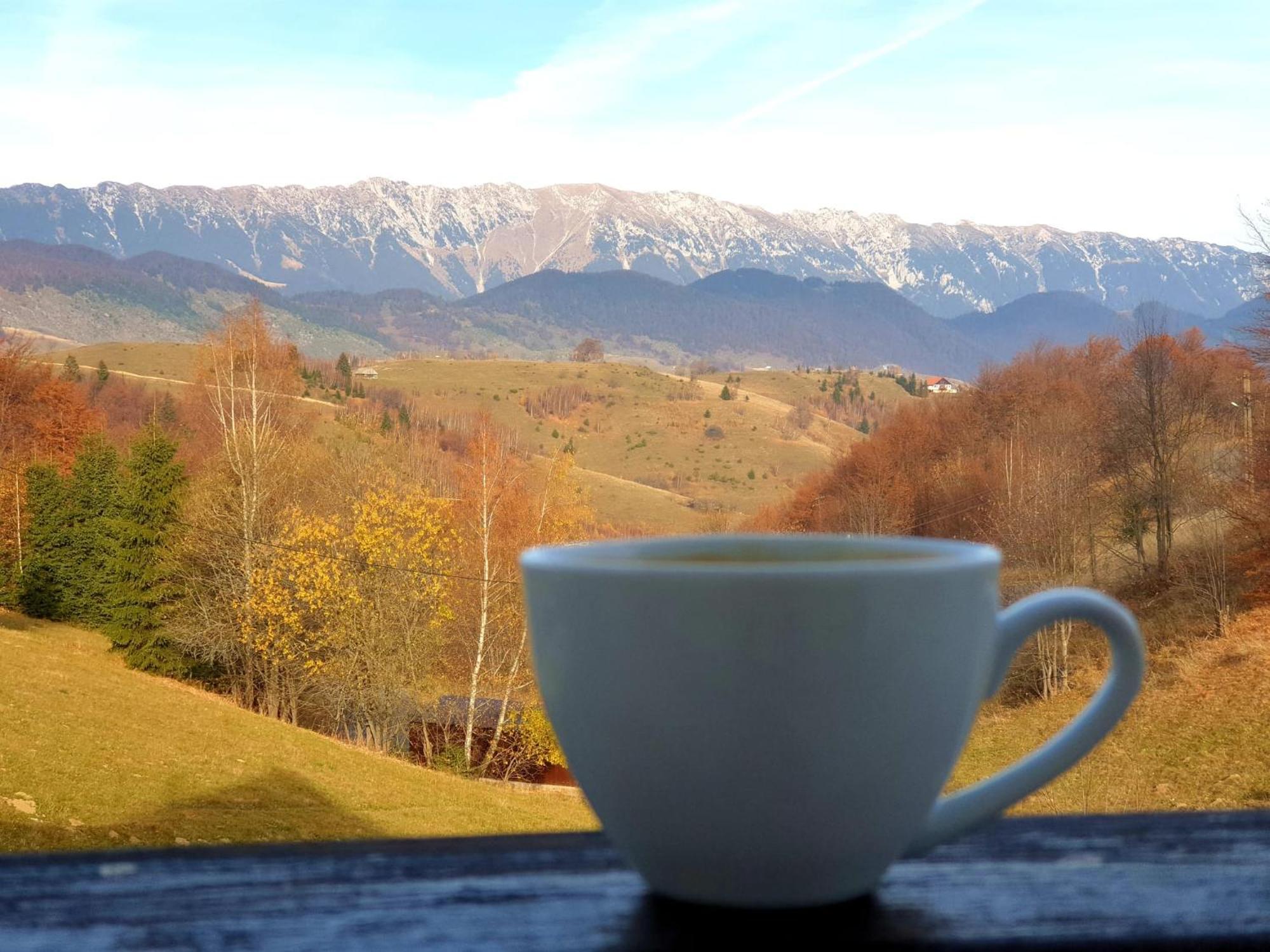 La Kaifas Villa Fundata Bagian luar foto